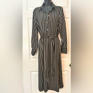Banana Republic Striped Shirt Dress